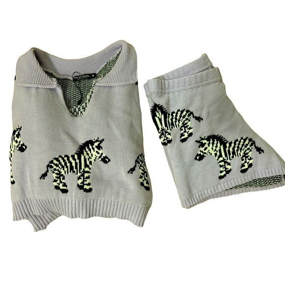 Nasty Gal Sweaters - Nasty Gal Knit two-piece zebra print matching  set size M